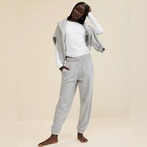 Aerie Jet Setter Jogger Sweatpants - Size Large